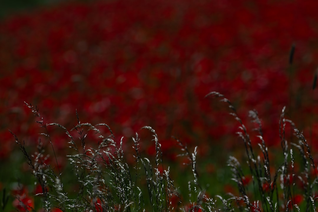 Oddlužení: Jak ovlivní vaši firmu?