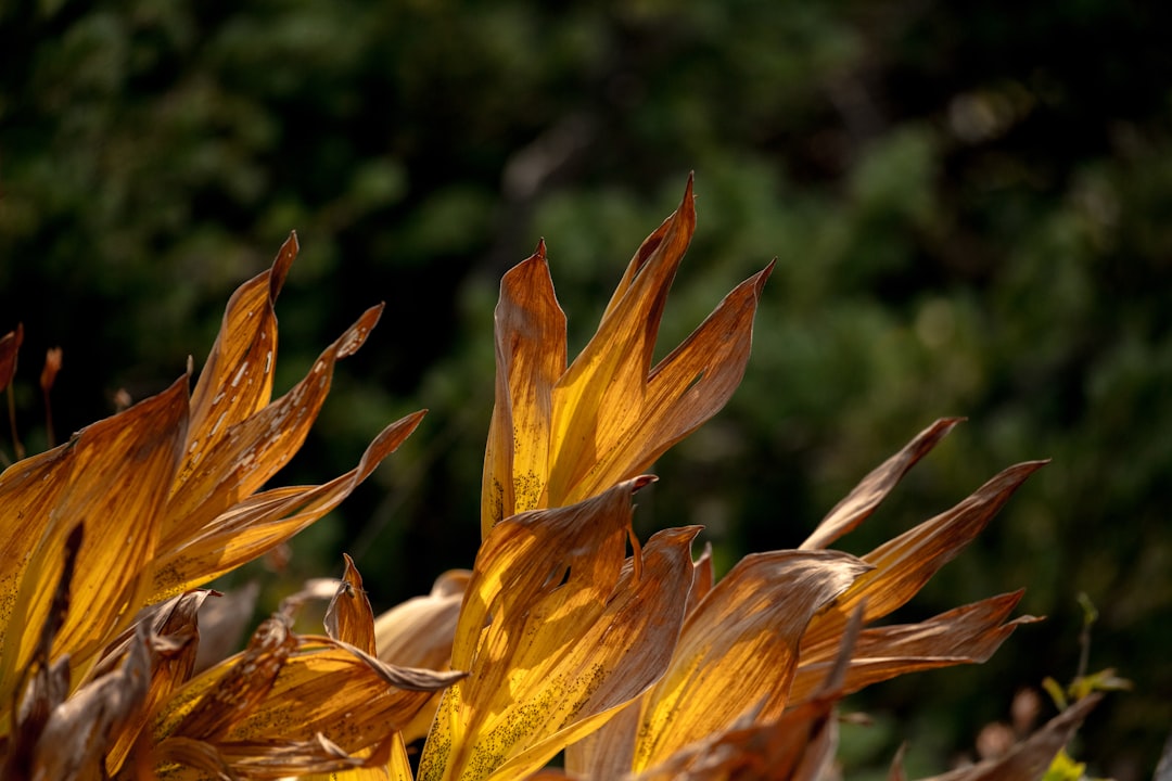 Rizika: Jak je identifikovat u klientů?